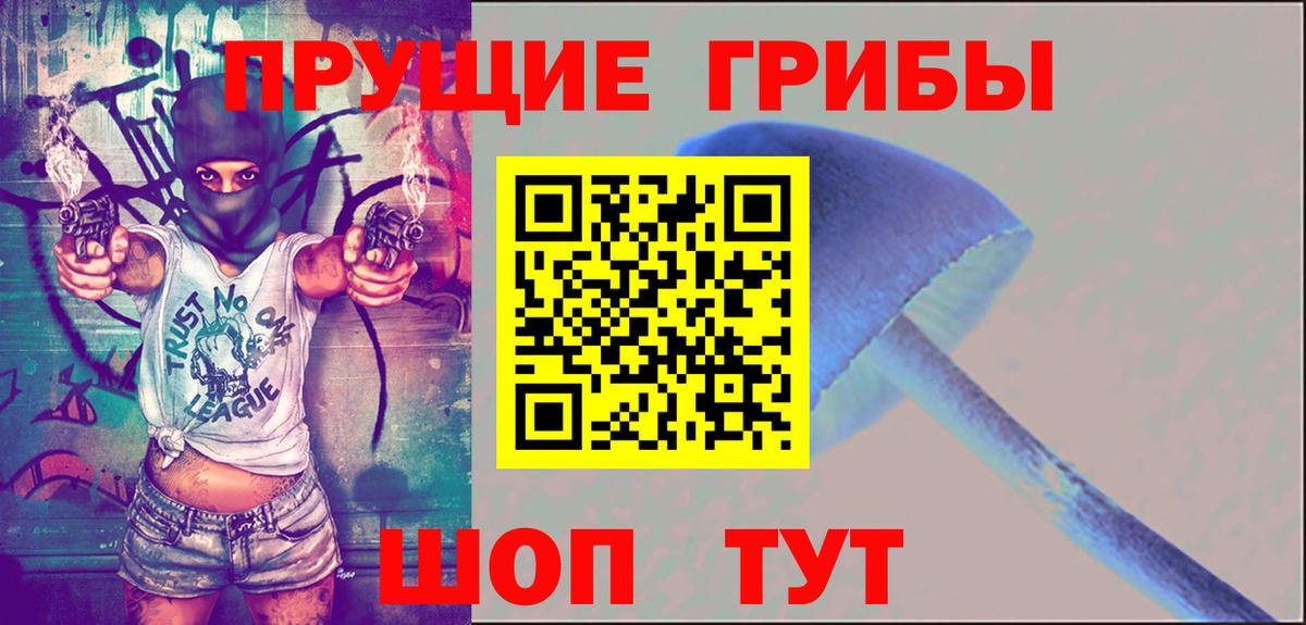 Нефтекумск  Псилоцибиновые грибы ЛСД  Вход с VPN 