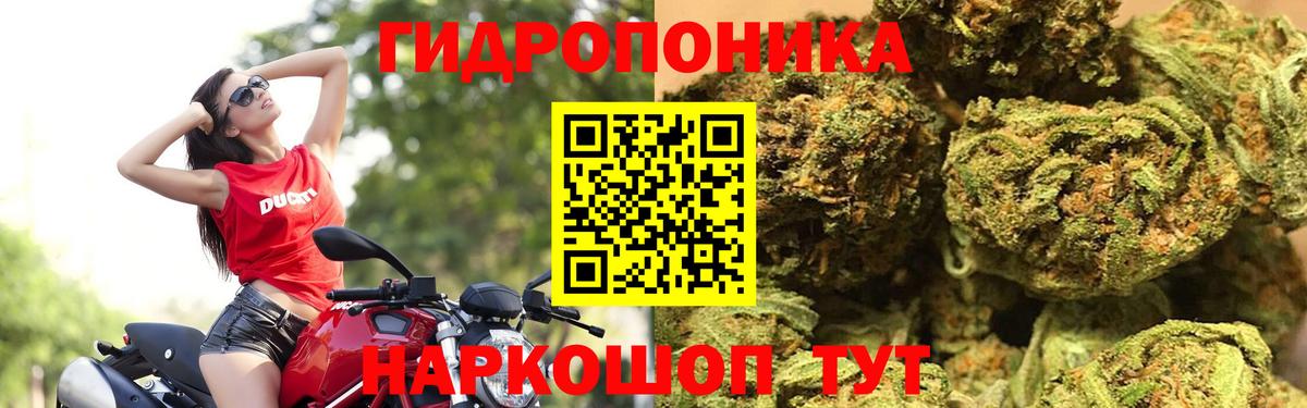 МАРИХУАНА Ganja  Вход с VPN  Нефтекумск  МАРИХУАНА SATIVA & INDICA  Марихуана ГИДРОПОН  МАРИХУАНА семена 